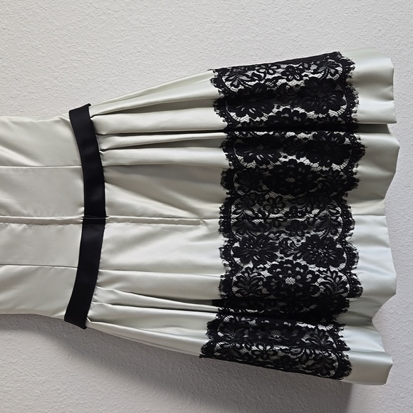 Elegant Satin Pastel Green & Black Lace A Line Sweatheart Knee Length Prom Dress - Picture 5 of 11